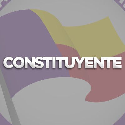 Resumen de Capacitacion Constituyente Virtual